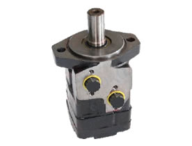 RS Serisi Orbit Hidromotor